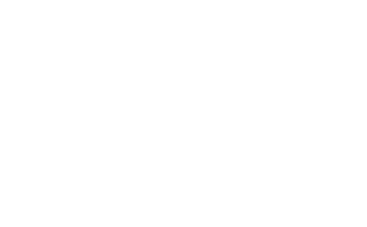 INDA Logo [white icon]
