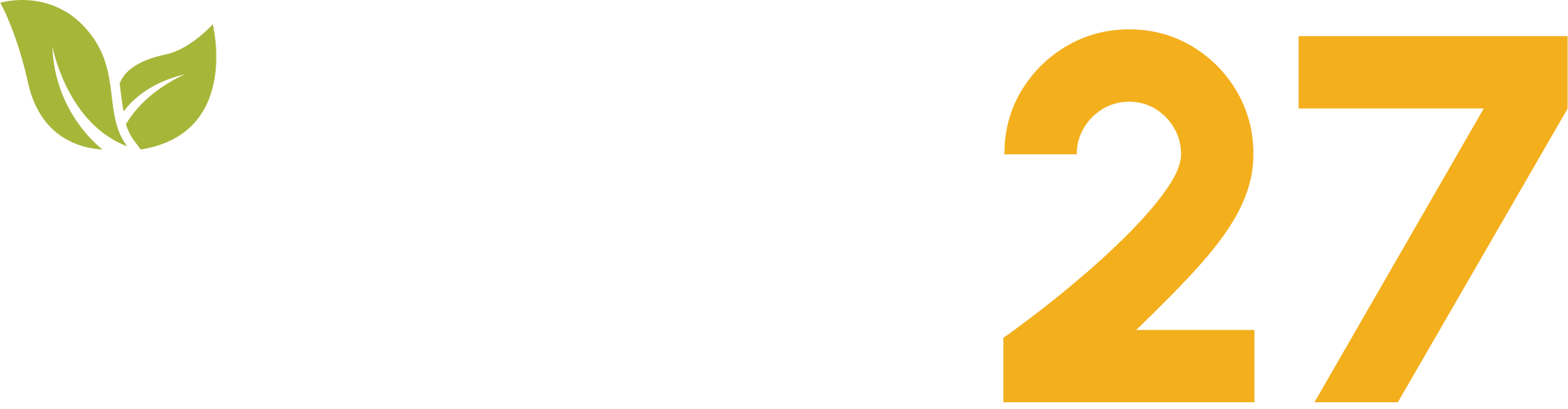 IDEA®27 Logo (white)